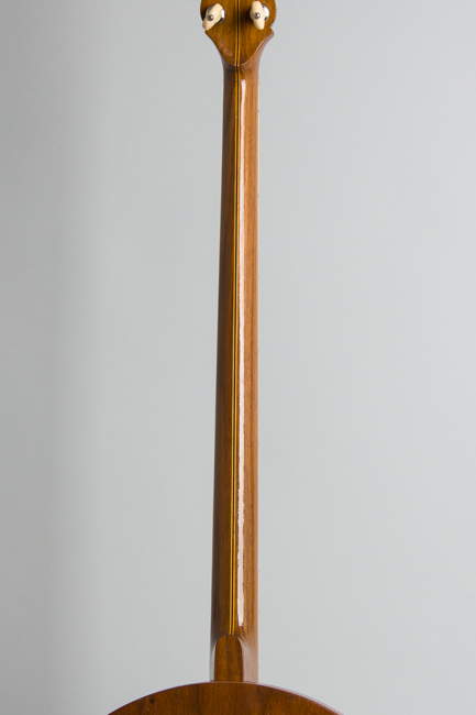 Epiphone  Recording A Artist Plectrum Banjo  (1929)
