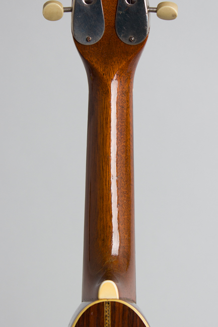 Favilla  Flat Back, Bent Top Mandolin  (1920s)