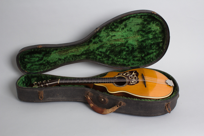 Favilla  Flat Back, Bent Top Mandolin  (1920s)