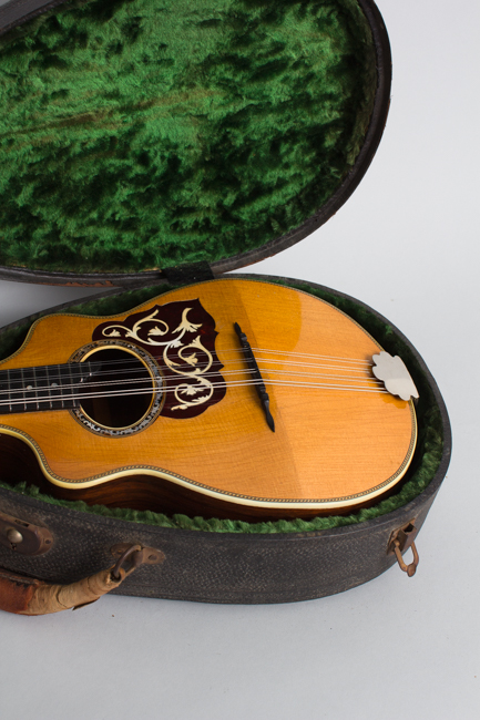 Favilla  Flat Back, Bent Top Mandolin  (1920s)