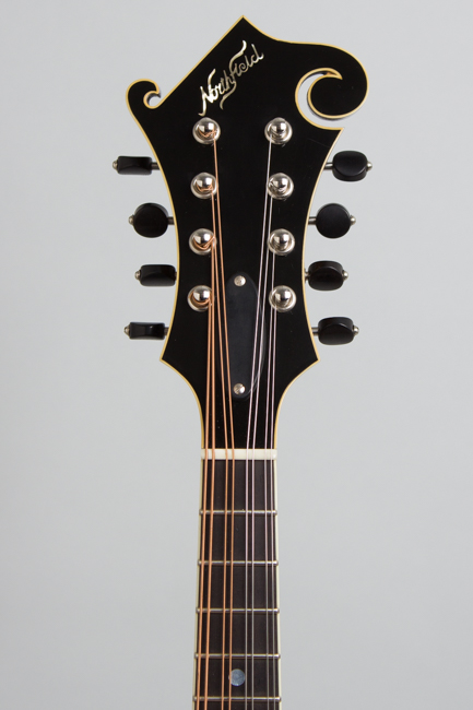 Northfield  NFA-V3 Artist Series Carved Top Mandolin  (2021)