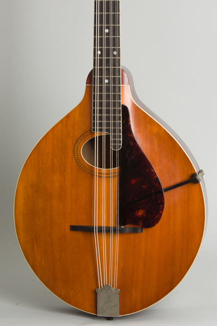 Gibson  K-1 Carved Top Mandocello  (1914)