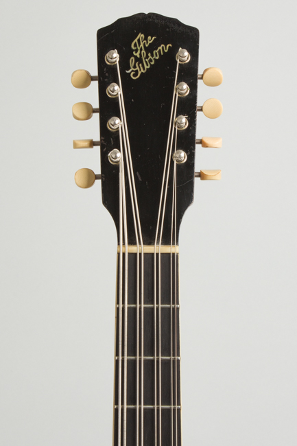 Gibson  K-1 Carved Top Mandocello  (1914)