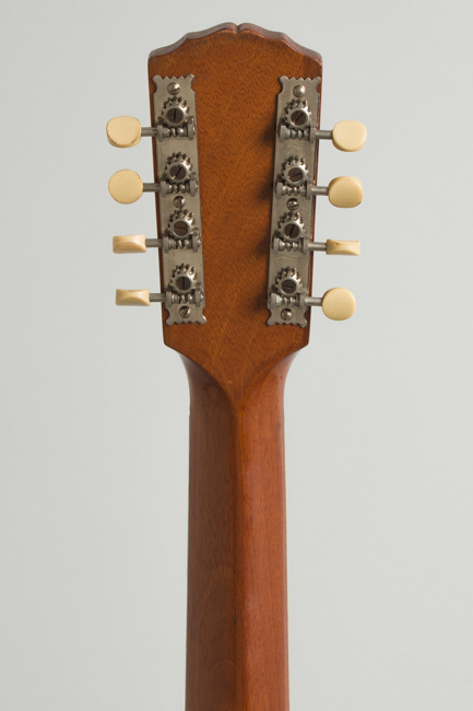 Gibson  K-1 Carved Top Mandocello  (1914)