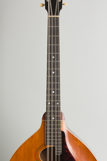 Gibson  K-1 Carved Top Mandocello  (1914)
