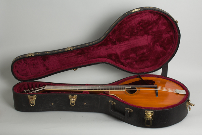 Gibson  K-1 Carved Top Mandocello  (1914)