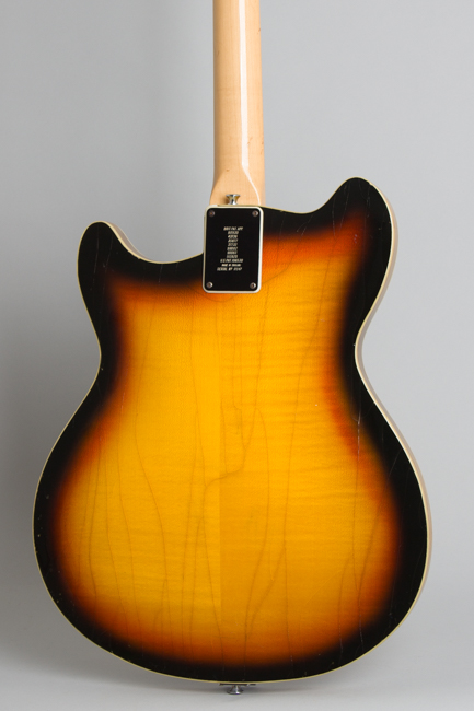 Burns Baldwin  GB-66 Hollow Body Electric Bass Guitar  (1966)