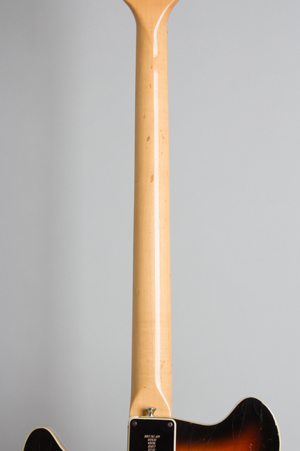 Burns Baldwin  GB-66 Hollow Body Electric Bass Guitar  (1966)