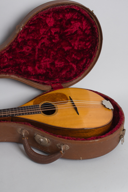 C. F. Martin  Style B Flat Back Mandolin  (1919)