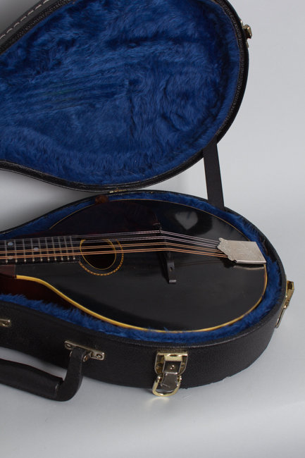 Gibson  Style A- Carved Top Mandolin  (1911)