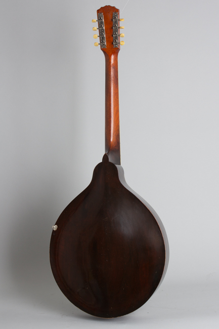 Gibson  K-1 Carved Top Mandocello  (1919)