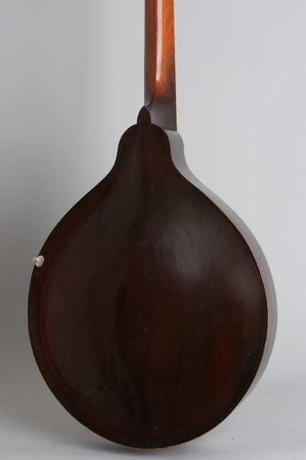 Gibson  K-1 Carved Top Mandocello  (1919)
