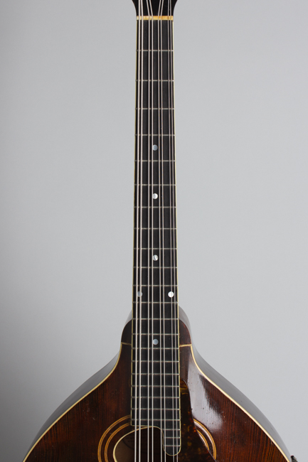 Gibson  K-1 Carved Top Mandocello  (1919)