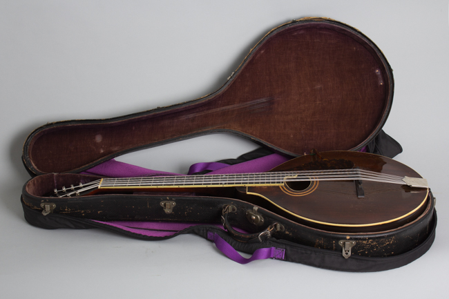 Gibson  K-1 Carved Top Mandocello  (1919)