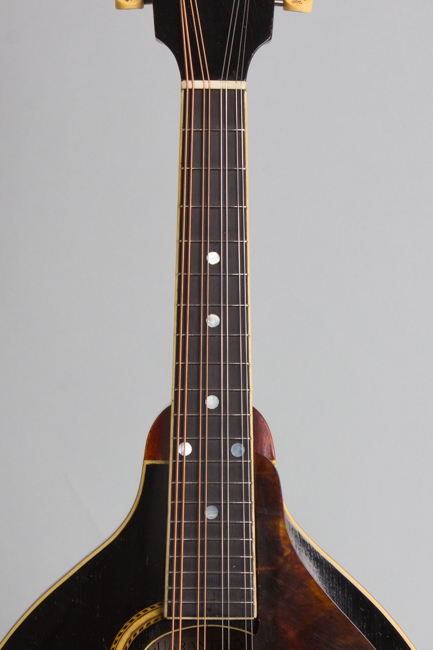 Gibson  A-4 Carved Top Mandolin  (1911)