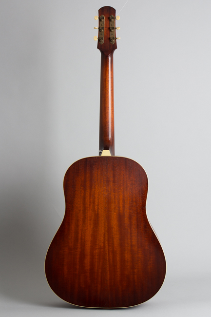 Iris  DF Flat Top Acoustic Guitar 