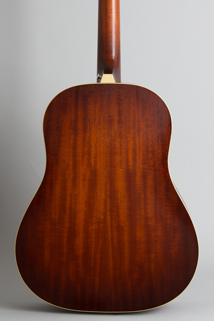 Iris  DF Flat Top Acoustic Guitar 