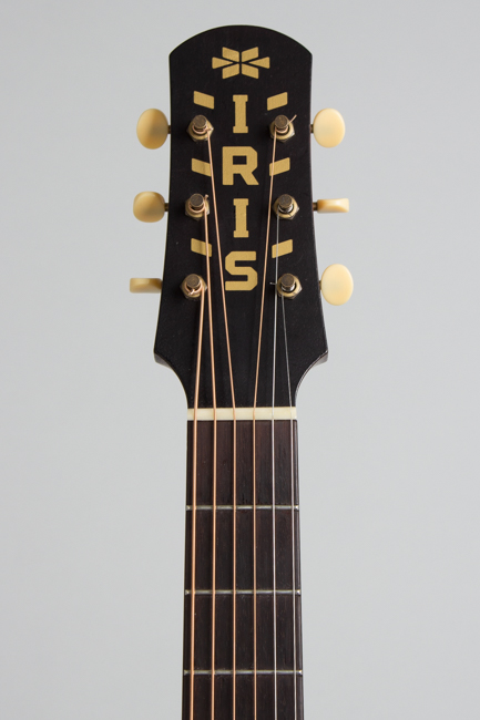 Iris  DF Flat Top Acoustic Guitar 