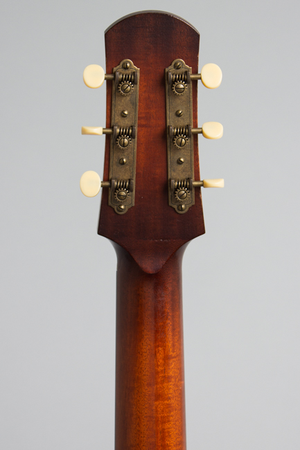 Iris  DF Flat Top Acoustic Guitar 