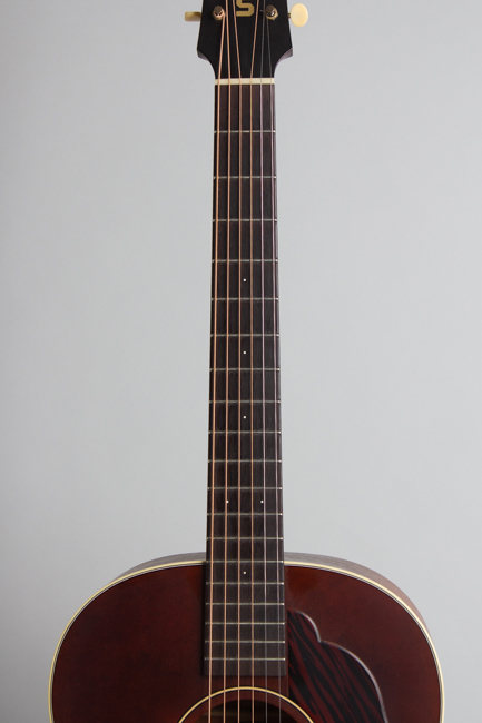 Iris  DF Flat Top Acoustic Guitar 
