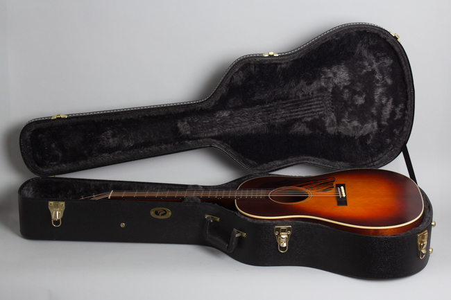 Iris  DF Flat Top Acoustic Guitar 