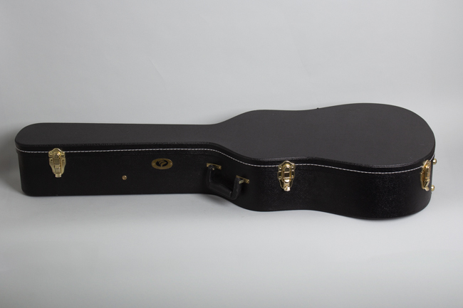 Iris  DF Flat Top Acoustic Guitar 