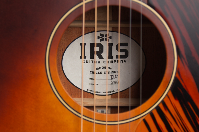 Iris  DF Flat Top Acoustic Guitar 