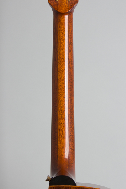 Lowden  O-25 Custom Flat Top Acoustic Guitar  (1992)