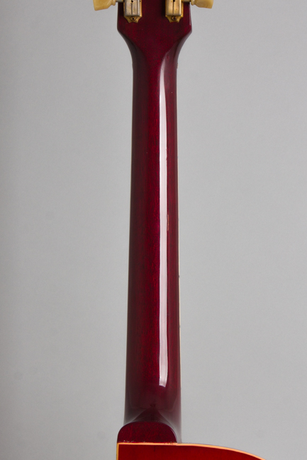 Gibson  ES-295 Owned by Jeff Tweedy of Wilco Arch Top Hollow Body Electric Guitar  (1955)