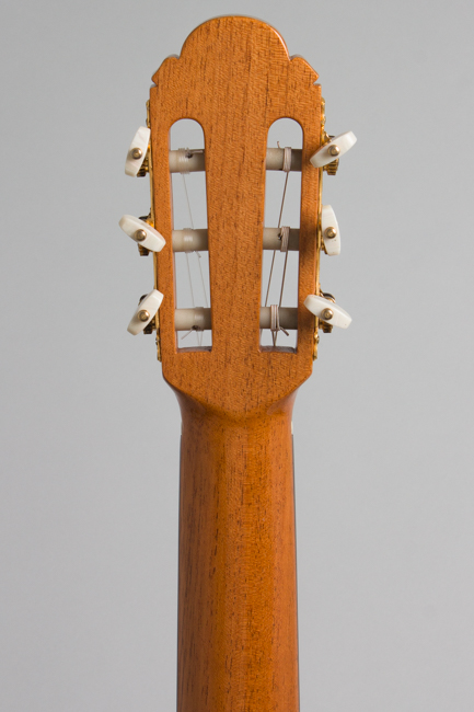 Darren Hippner  Fleta pattern Classical Guitar  (2004)