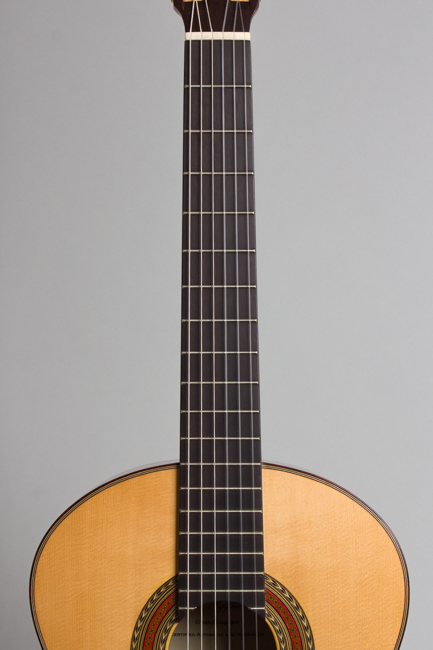 Darren Hippner  Fleta pattern Classical Guitar  (2004)