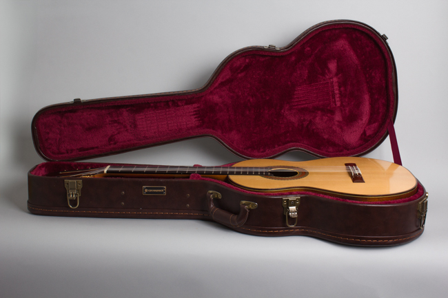Darren Hippner  Fleta pattern Classical Guitar  (2004)