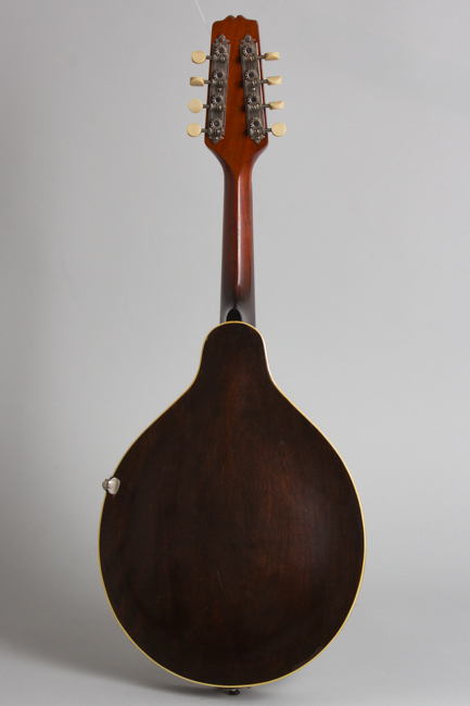 Gibson  Style A-1 Snakehead Carved Top Mandolin  (1923)