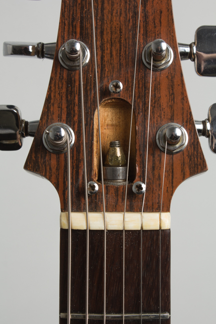 Ampeg  Dan Armstrong Solid Body Electric Guitar  (1970)