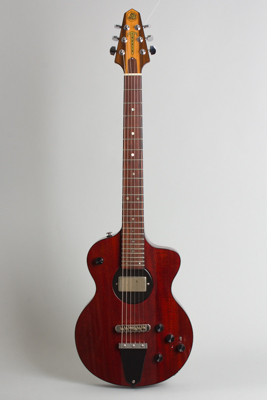 Rick Turner  Model 1 LB Reissue Owned by Jeff Tweedy of Wilco Semi-Hollow Body Electric Guitar  (2001)