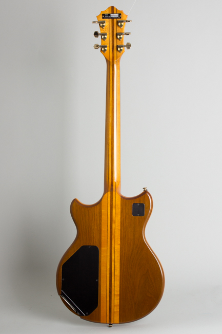 Roland G-808 / GR-300 Polyphonic Guitar Synthesizer Owned by Jeff Tweedy of Wilco Solid Body Electric Guitar (1982)