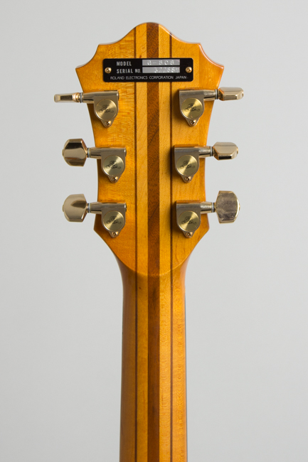 Roland G-808 / GR-300 Polyphonic Guitar Synthesizer Owned by Jeff Tweedy of Wilco Solid Body Electric Guitar (1982)