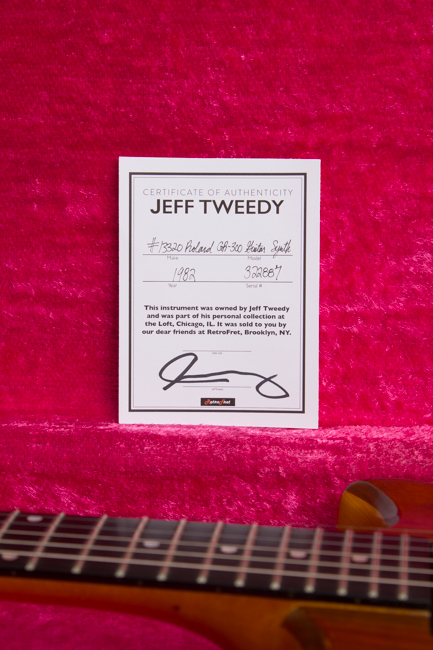 Roland G-808 / GR-300 Polyphonic Guitar Synthesizer Owned by Jeff Tweedy of Wilco Solid Body Electric Guitar (1982)