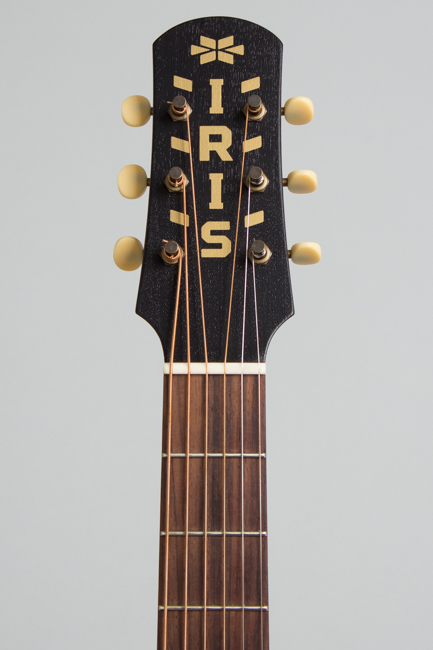 Iris  OG Flat Top Acoustic Guitar  (2023)