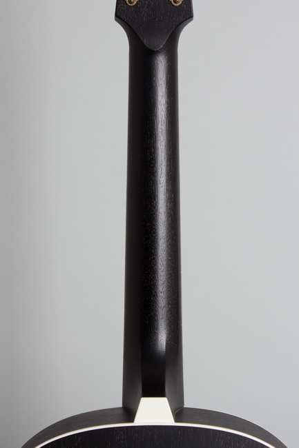 Iris  OG Flat Top Acoustic Guitar  (2023)