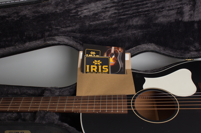 Iris  OG Flat Top Acoustic Guitar  (2023)