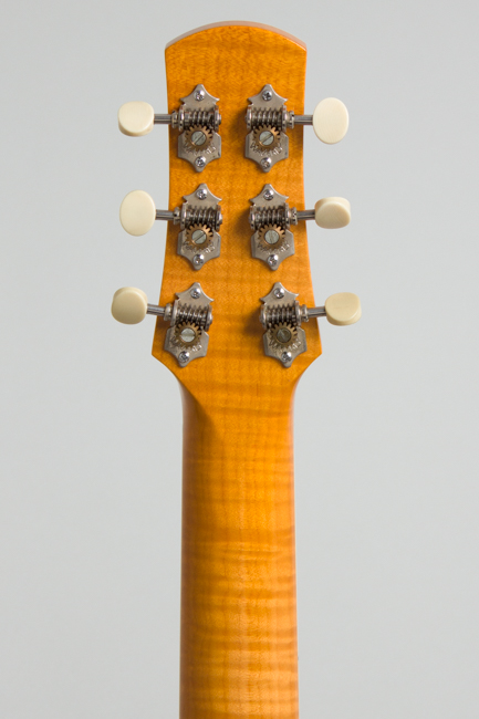 Steve Andersen  Model 14 Little Archie Made for and used by Bill Frisell Arch Top Hollow Body Electric Guitar  (1996)