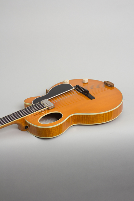 Steve Andersen  Model 14 Little Archie Made for and used by Bill Frisell Arch Top Hollow Body Electric Guitar  (1996)