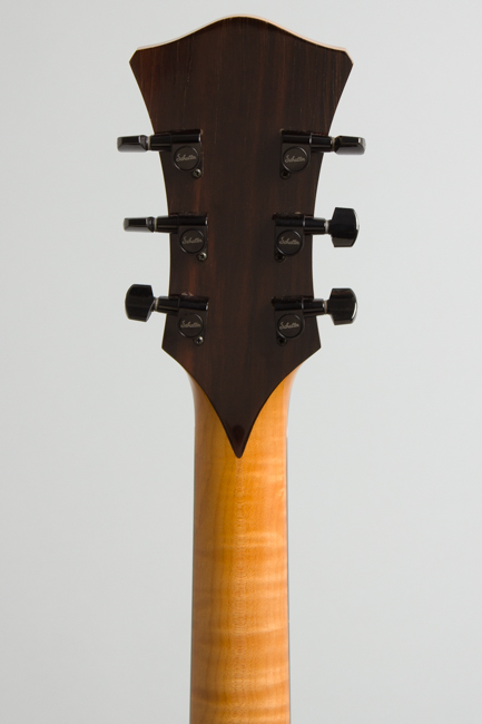 Steve Andersen Model 17 Made for and used by Bill Frisell Arch Top Hollow Body Electric Guitar (1995)