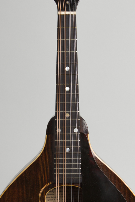 Gibson  Style A Snakehead Carved Top Mandolin  (1923)