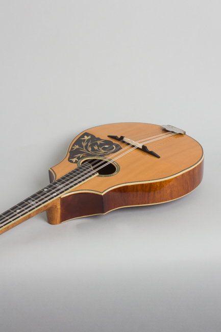 Vega  Cylinder Back Model 205 Mandolin,  c. 1917
