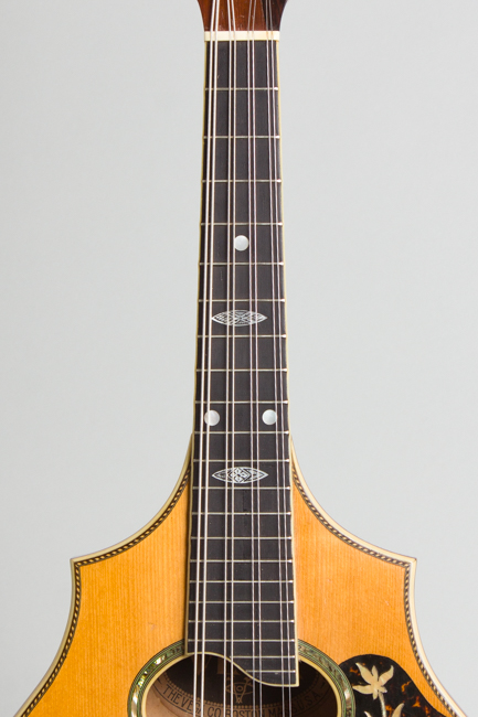 Vega  Cylinder Back Model 205 Mandolin,  c. 1917
