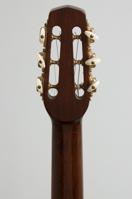 Rodrigo Shopis Gypsy Jazz Guitar (2010)