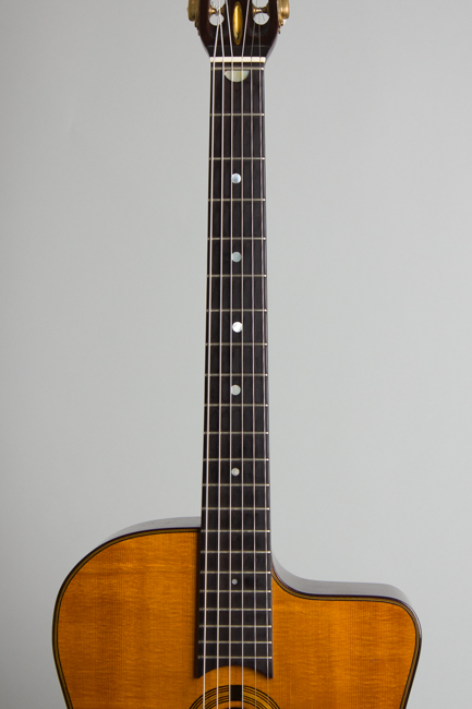 Rodrigo Shopis Gypsy Jazz Guitar (2010)