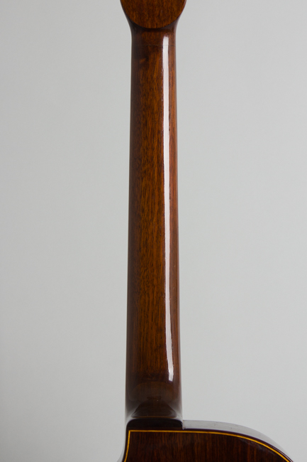 Rodrigo Shopis Gypsy Jazz Guitar (2010)